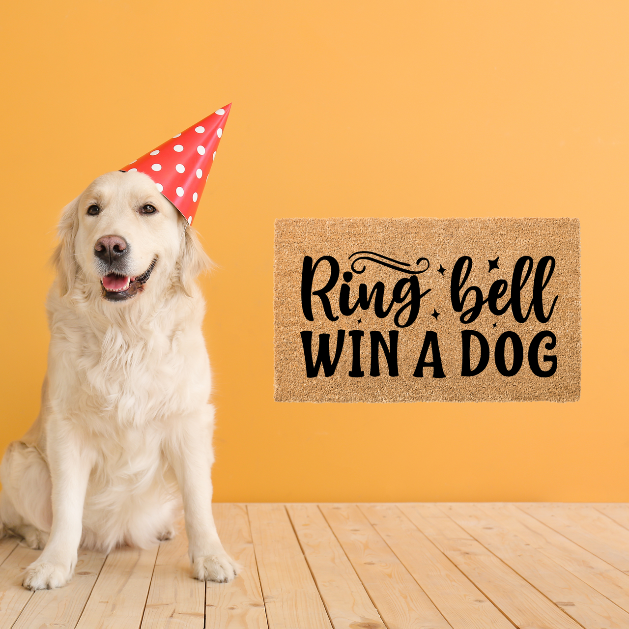 Win a Dog - Unicorn Fart Productions