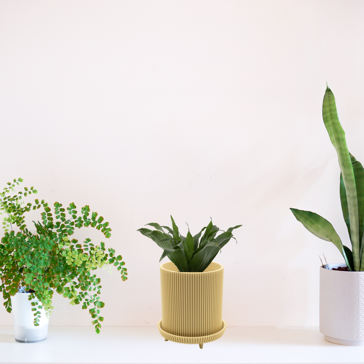 Ribbed planter with legs