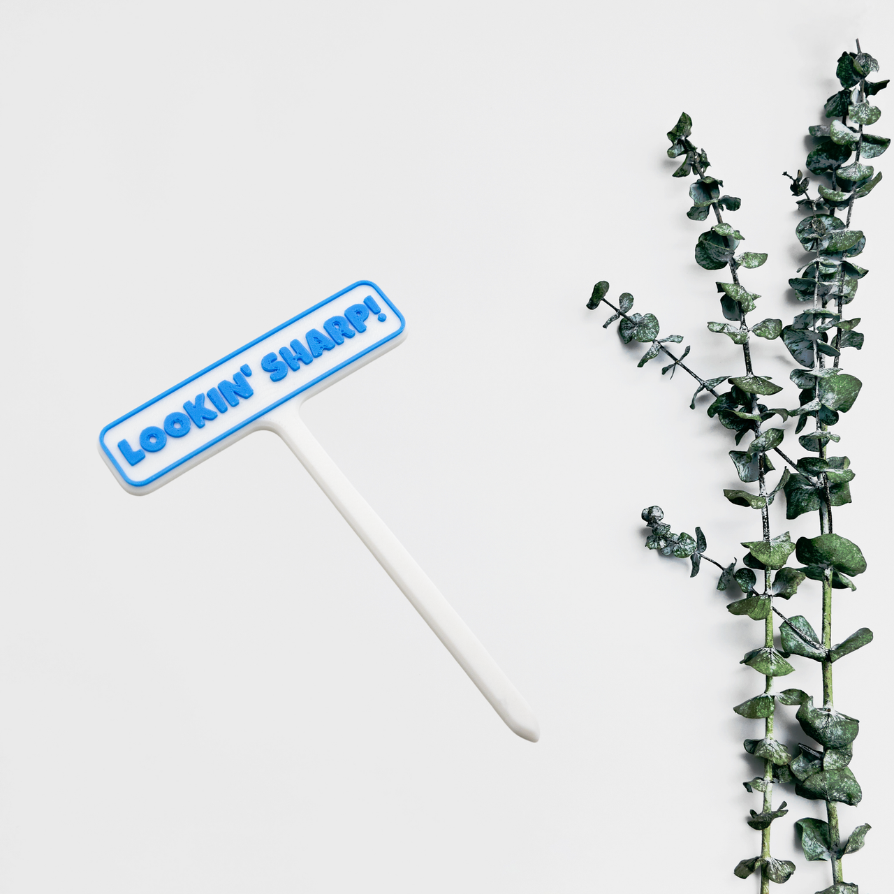 Punny Plant Stakes