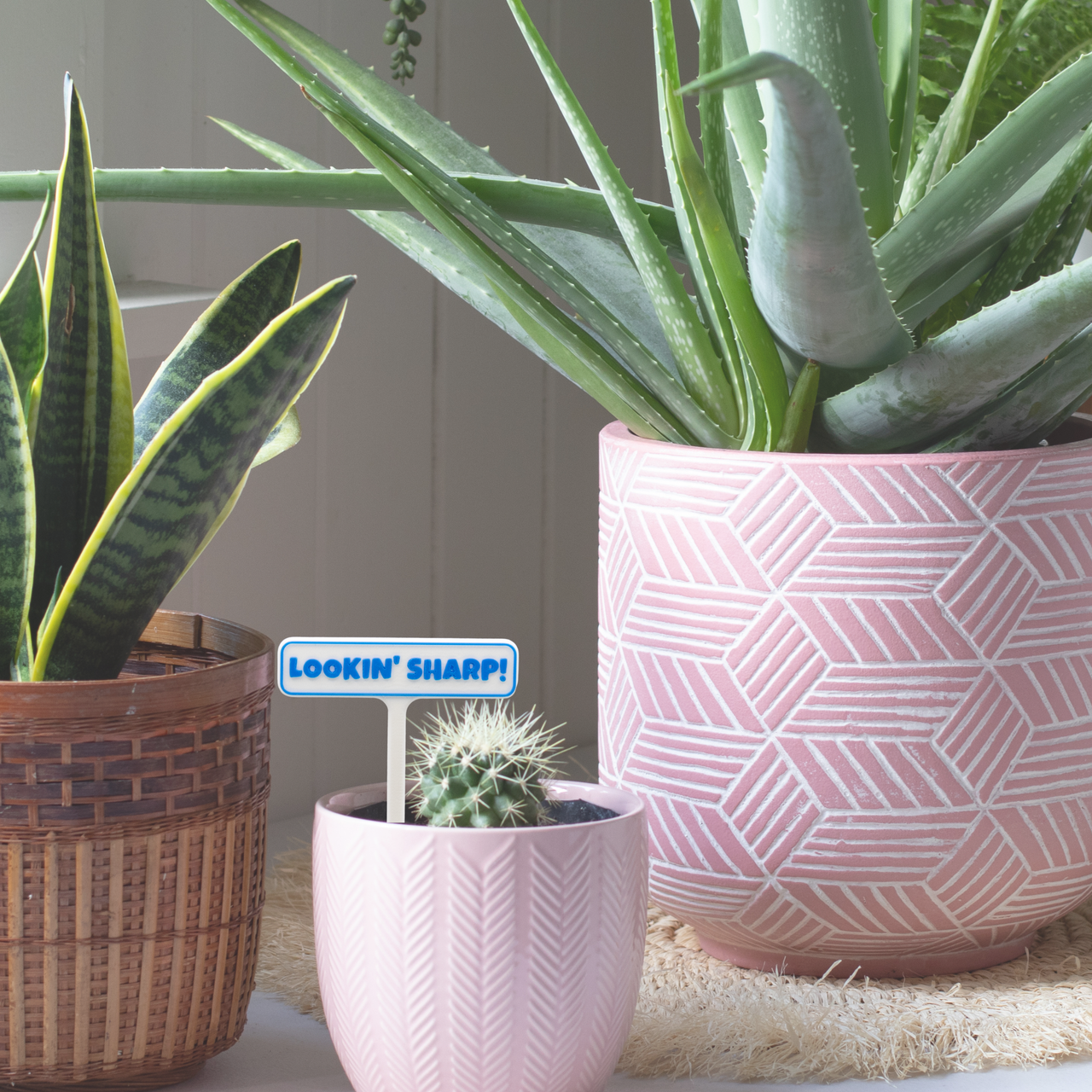 Punny Plant Stakes