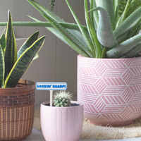 Punny Plant Stakes