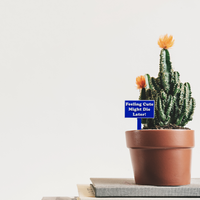Fun Plant Stakes