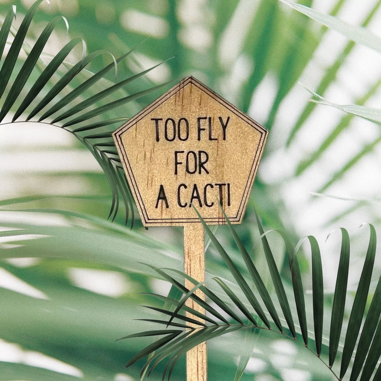 Funny Plant Stakes - Made from Sustainable Timber - TOO FLY FOR A CACTI
