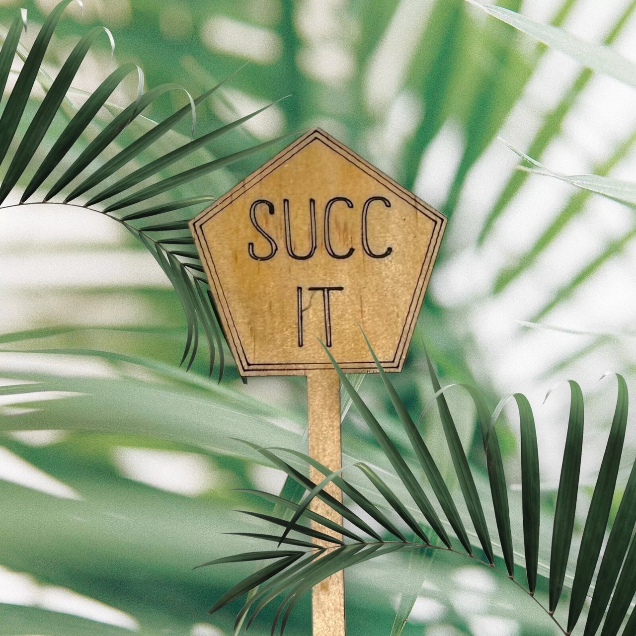 Funny Plant Stakes - Made from Sustainable Timber - SUCC IT