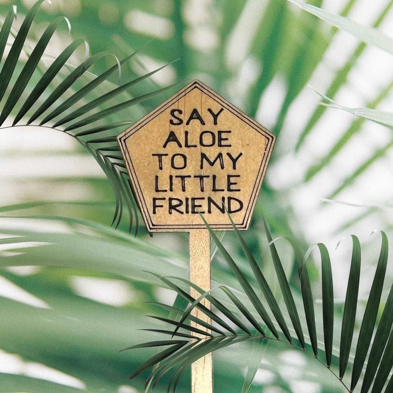 Funny Plant Stakes - Made from Sustainable Timber - SAY ALOE TO MY LITTLE FRIEND - Unicorn Fart Productions