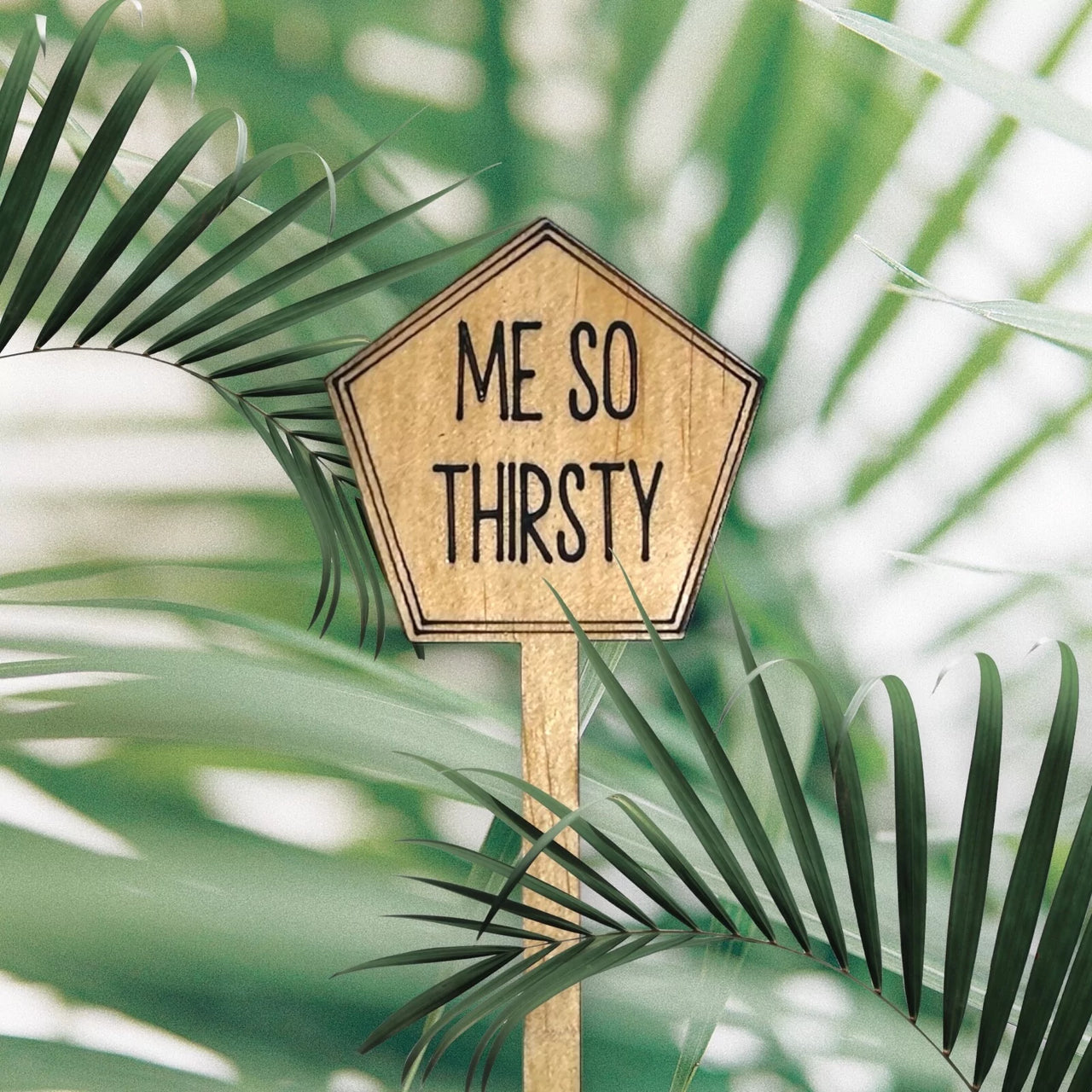 Funny Plant Stakes - Made from Sustainable Timber - Me So Thirsty