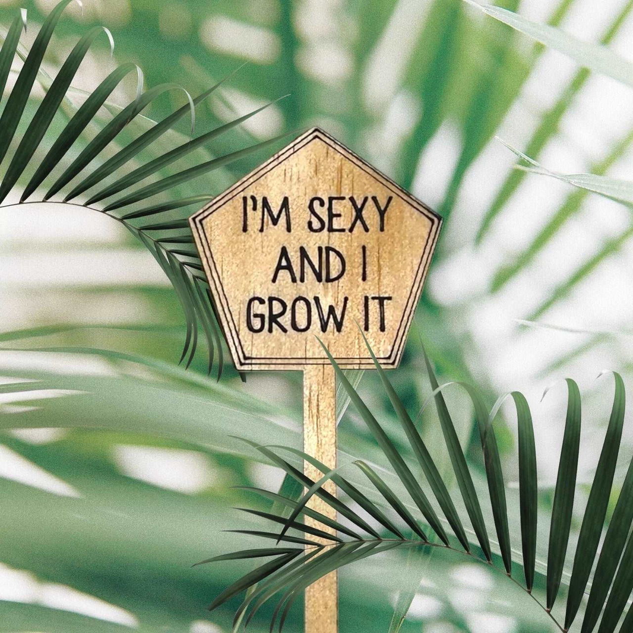 Funny Plant Stakes - Made from Sustainable Timber - IM SEXY AND I GROW IT - Unicorn Fart Productions