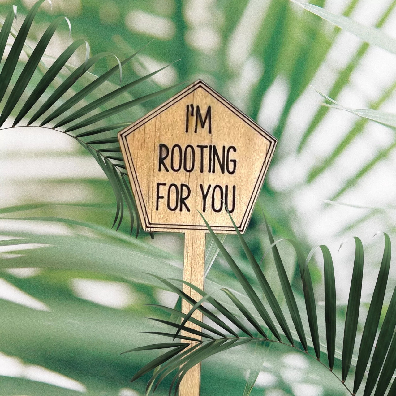 Funny Plant Stakes - Made from Sustainable Timber - Im rooting for you