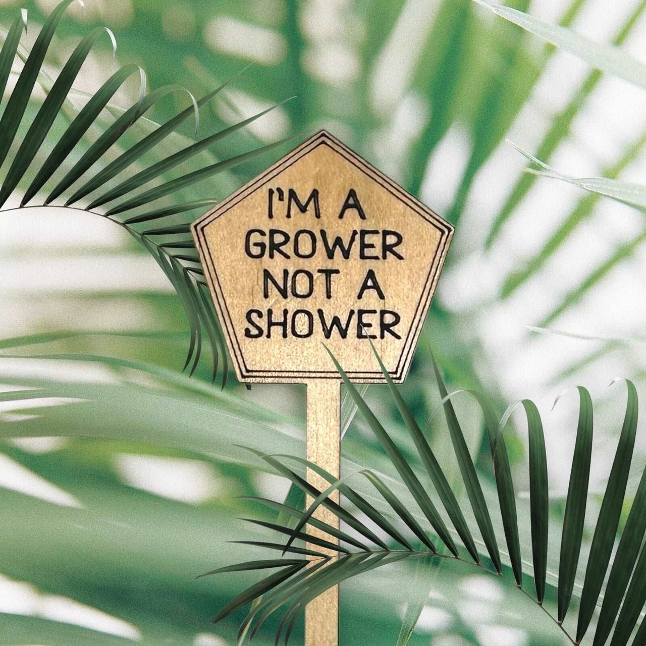 Funny Plant Stakes - Made from Sustainable Timber - IM A GROWER NOT A SHOWER - Unicorn Fart Productions