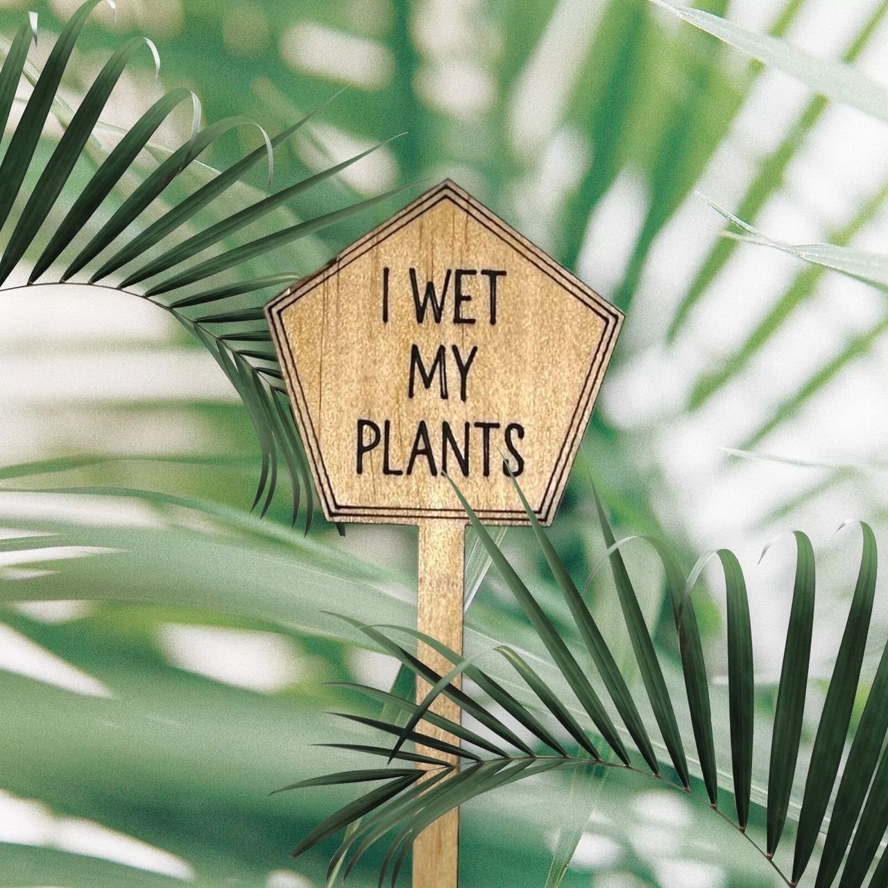 Funny Plant Stakes - Made from Sustainable Timber - I Wet my Plants