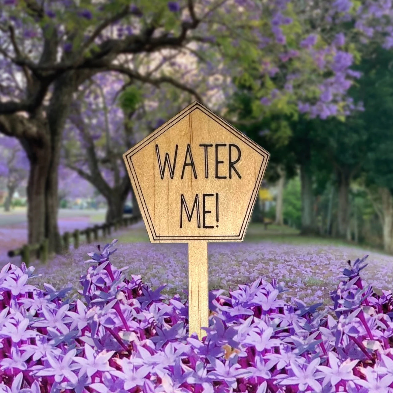 Funny Plant Stakes - WATER ME