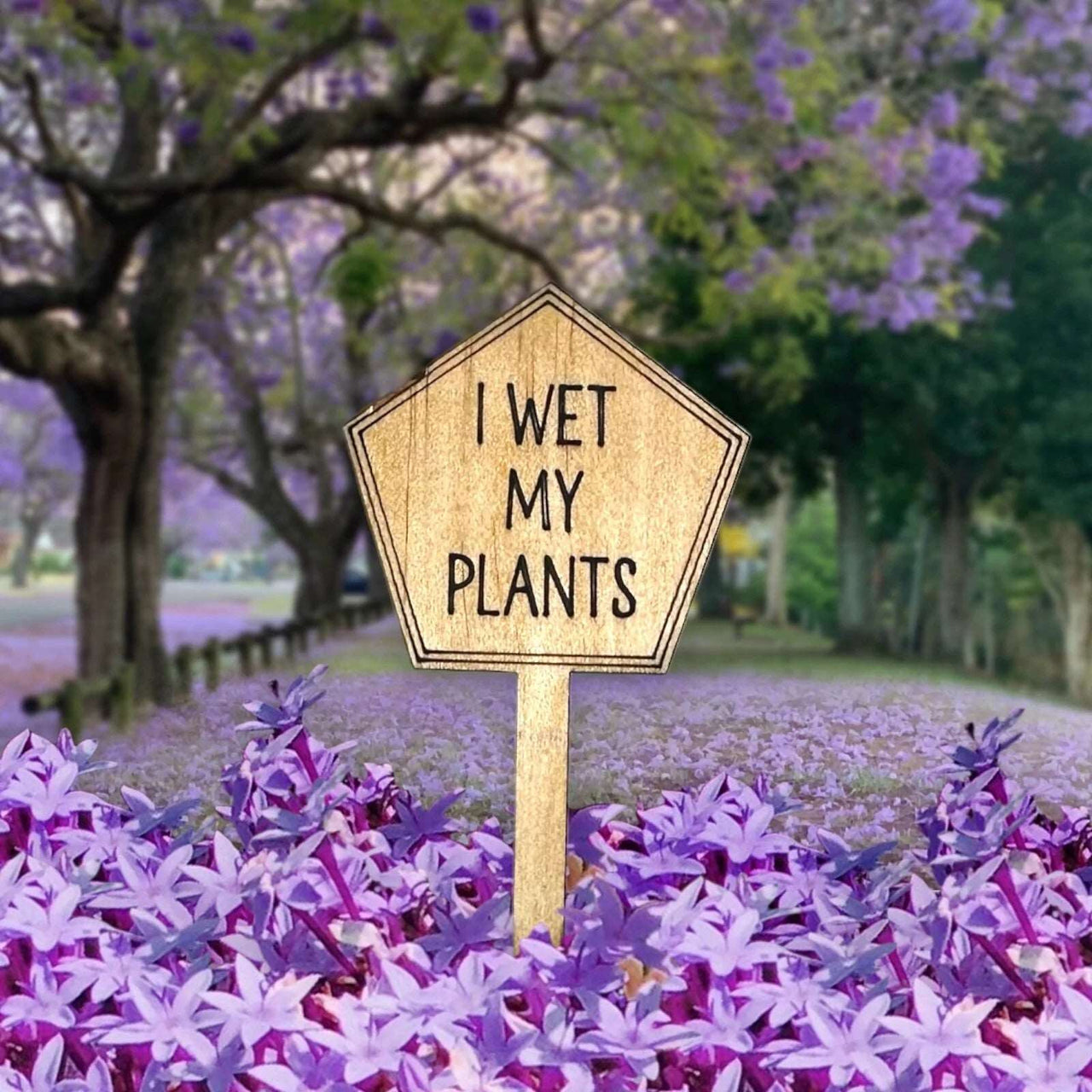 Funny Plant Stakes - Made from Sustainable Timber - I Wet my Plants - Unicorn Fart Productions