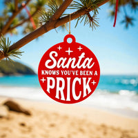 Santa Knows You - Unicorn Fart Productions