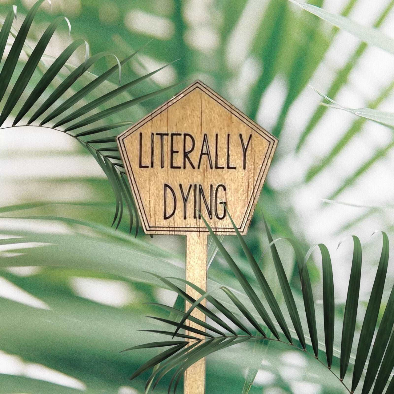 Funny Plant Stakes - Made from Sustainable Timber - LITERALLY DYING - Unicorn Fart Productions