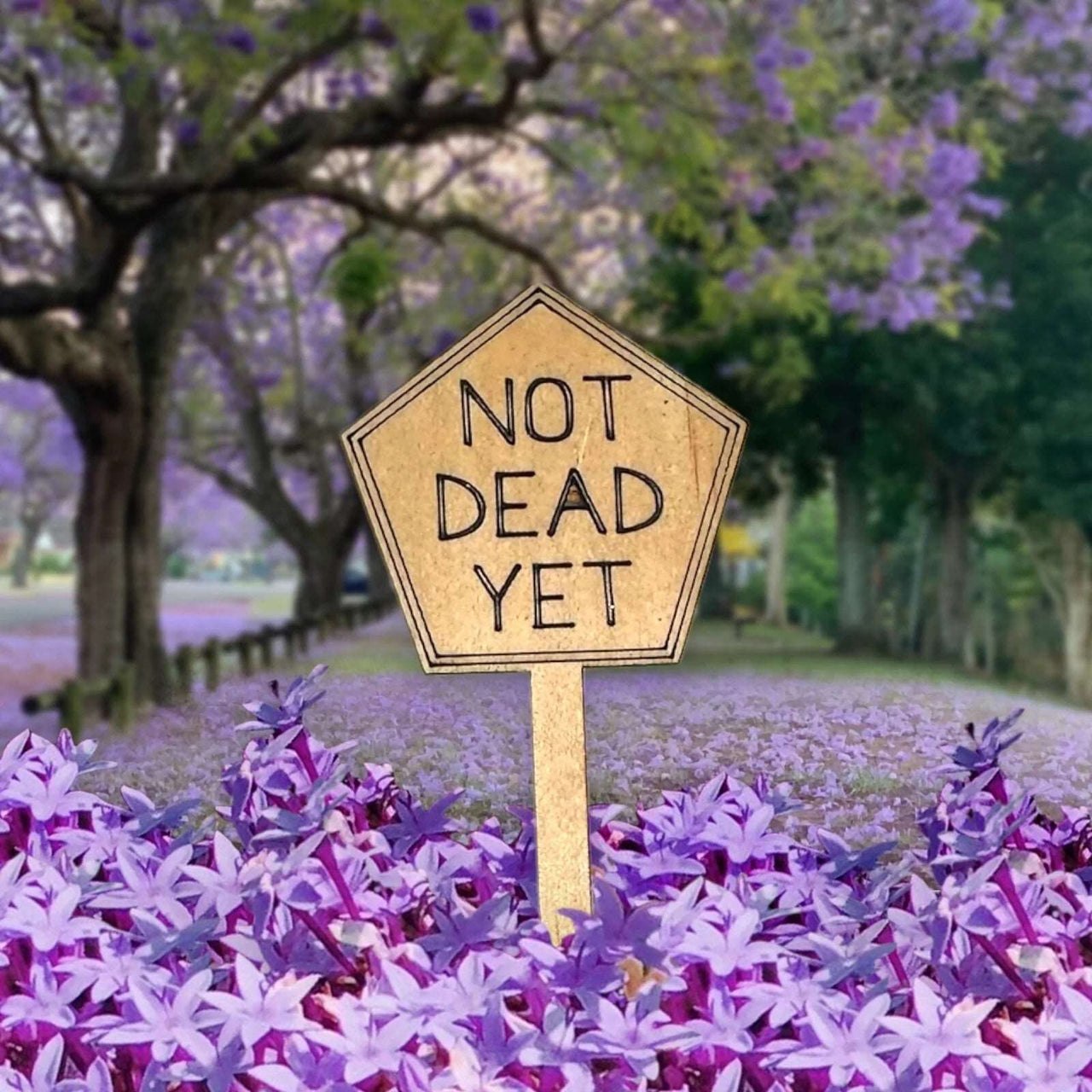 Funny Plant Stakes - Made from Sustainable Timber - Not Dead Yet - Unicorn Fart Productions