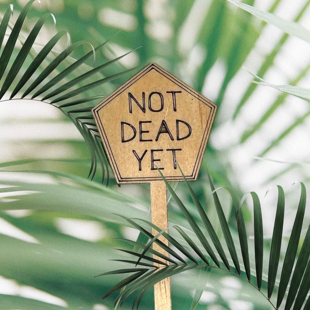 Funny Plant Stakes - Made from Sustainable Timber - Not Dead Yet - Unicorn Fart Productions