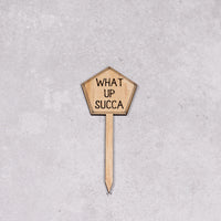 Thumbnail for Funny Plant Stakes - Made from Sustainable Timber - WHAT UP SUCCA